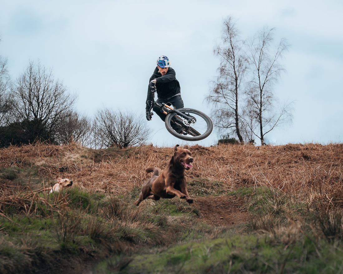 Shredding with Kriss Kyle and his dogs