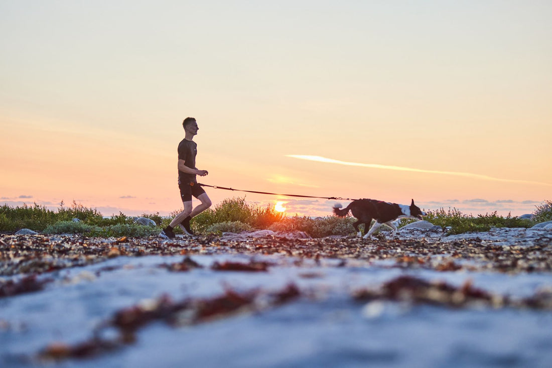 - Running together is lifechanging for many rescue dogs