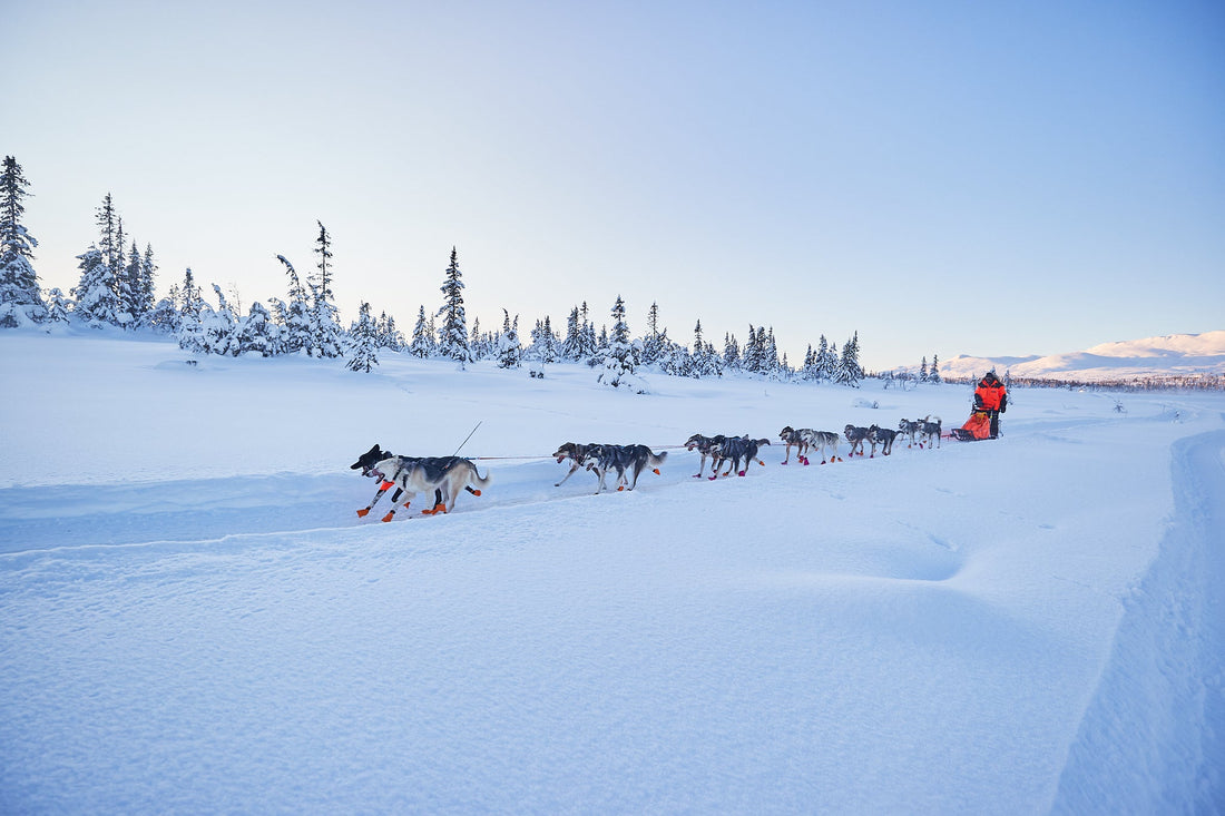 The story behind our extreme winter jackets