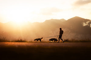 Gifts for hiking with dogs