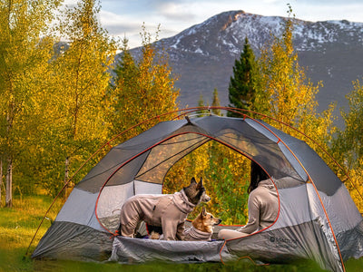 Gifts for camping with dogs