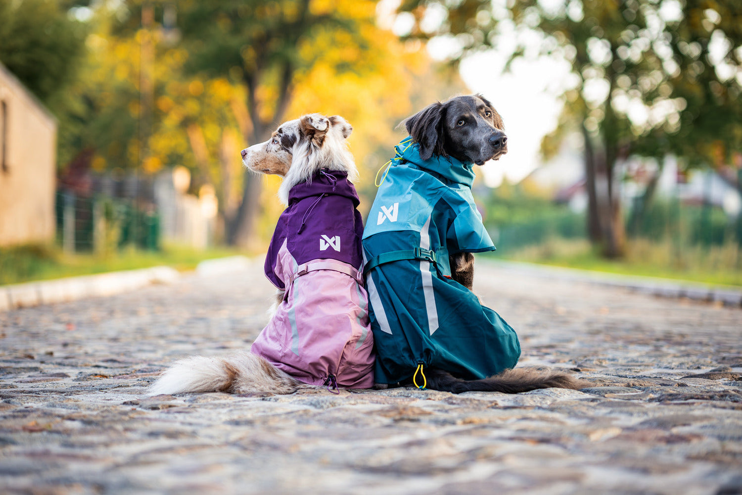 Chaquetas impermeables