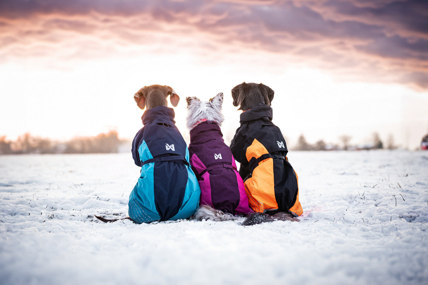 Chaquetas aislantes para perros