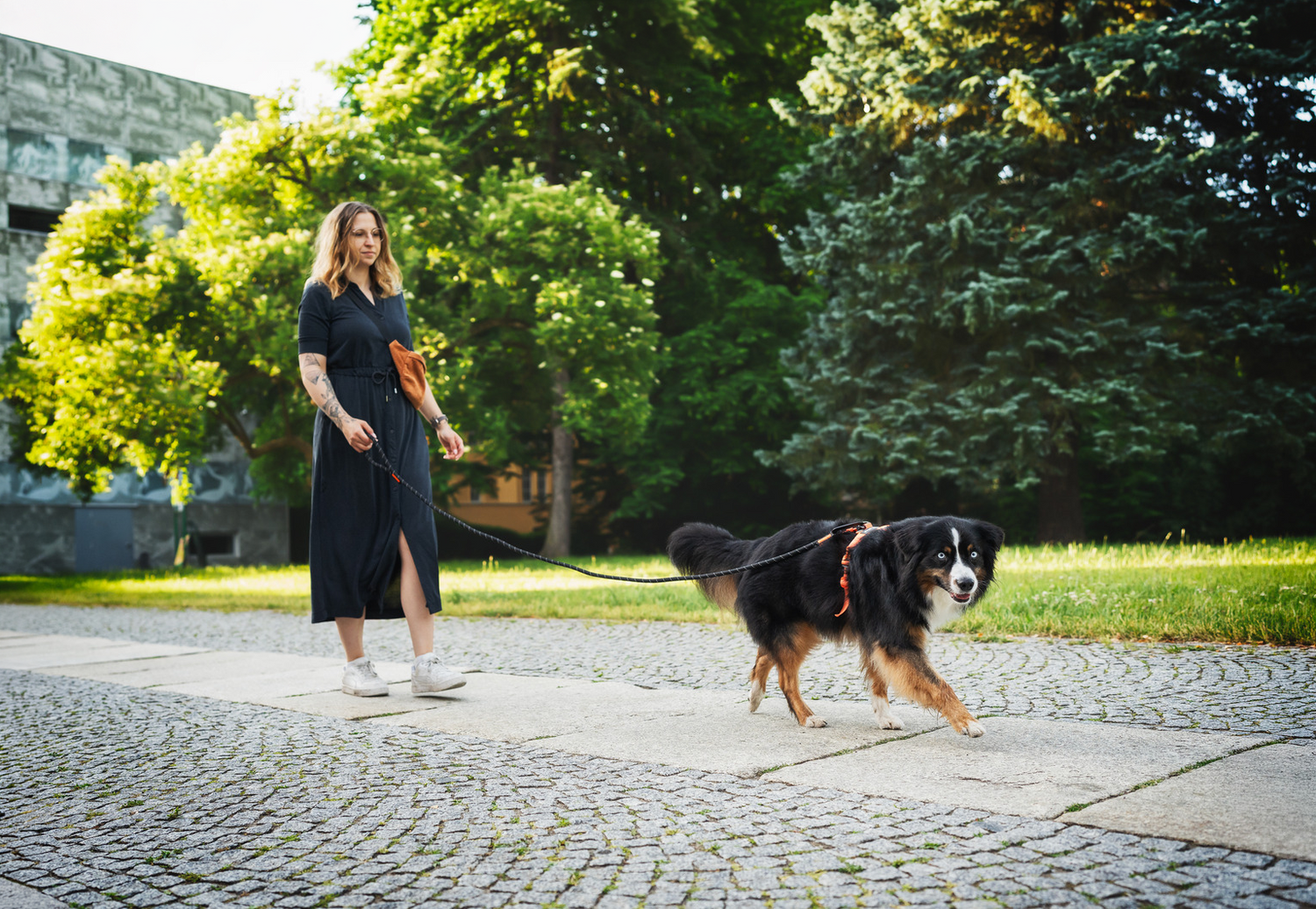 Alltag und Spaziergänge
