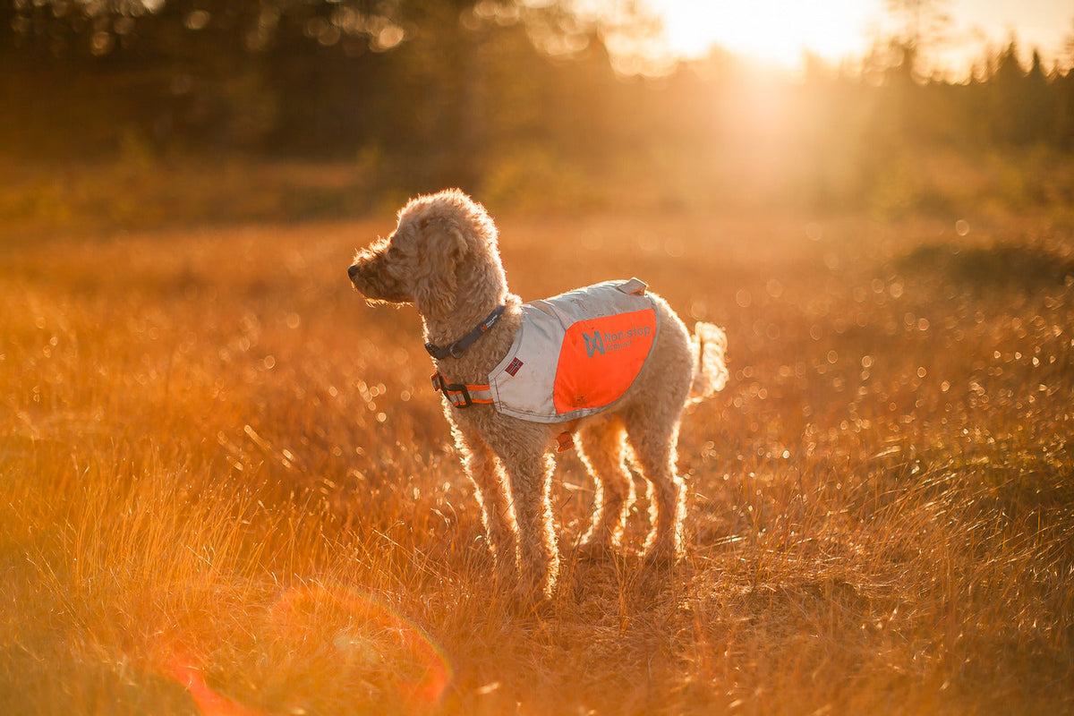 Ready for autumn adventures