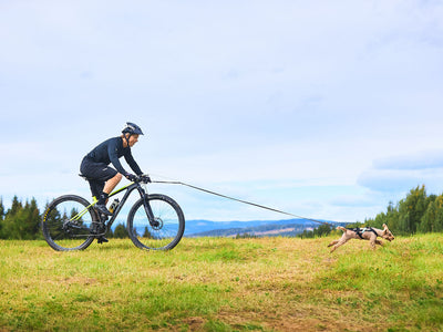 Biking