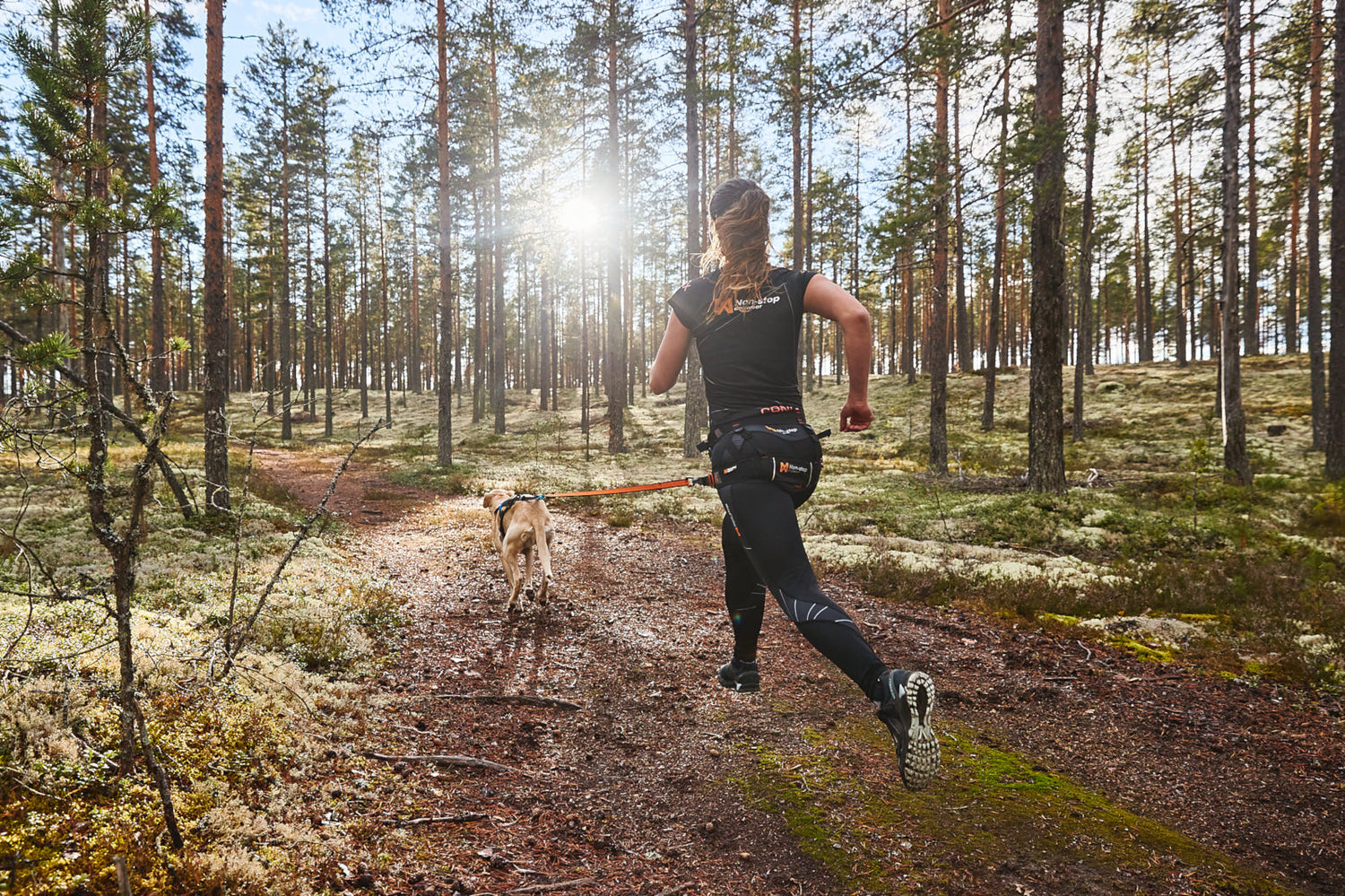 Für Hunde