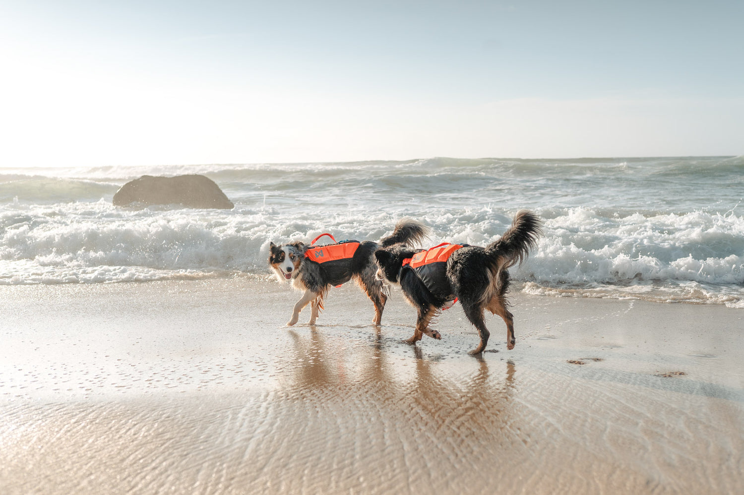 Life jacket & gear