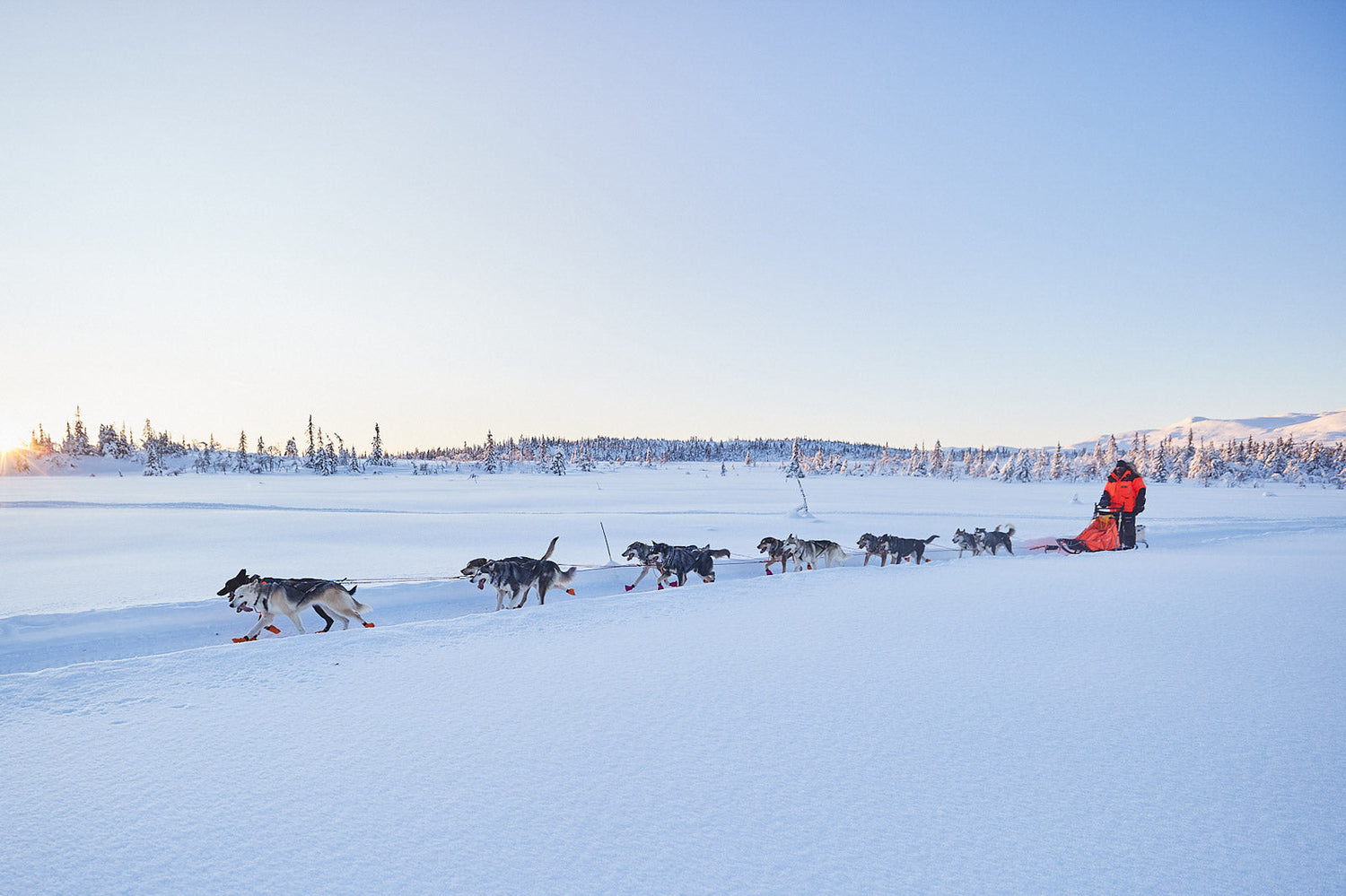 Gifts for dog mushers