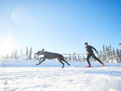 Skiing