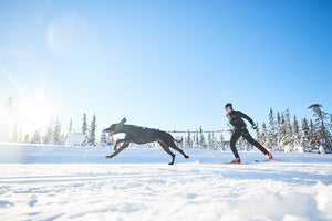 Gifts for skiing with dogs
