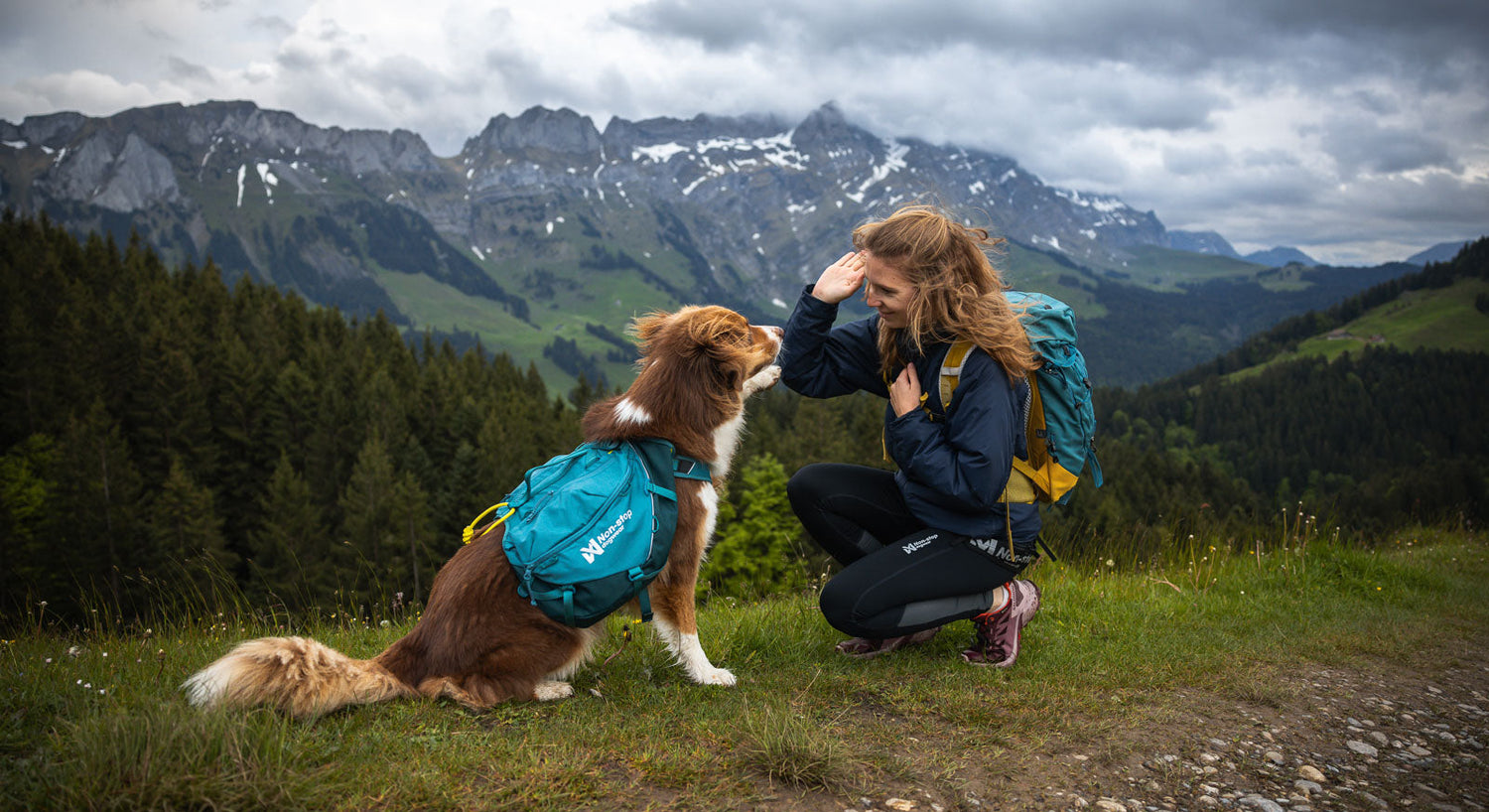 Dog backpacks