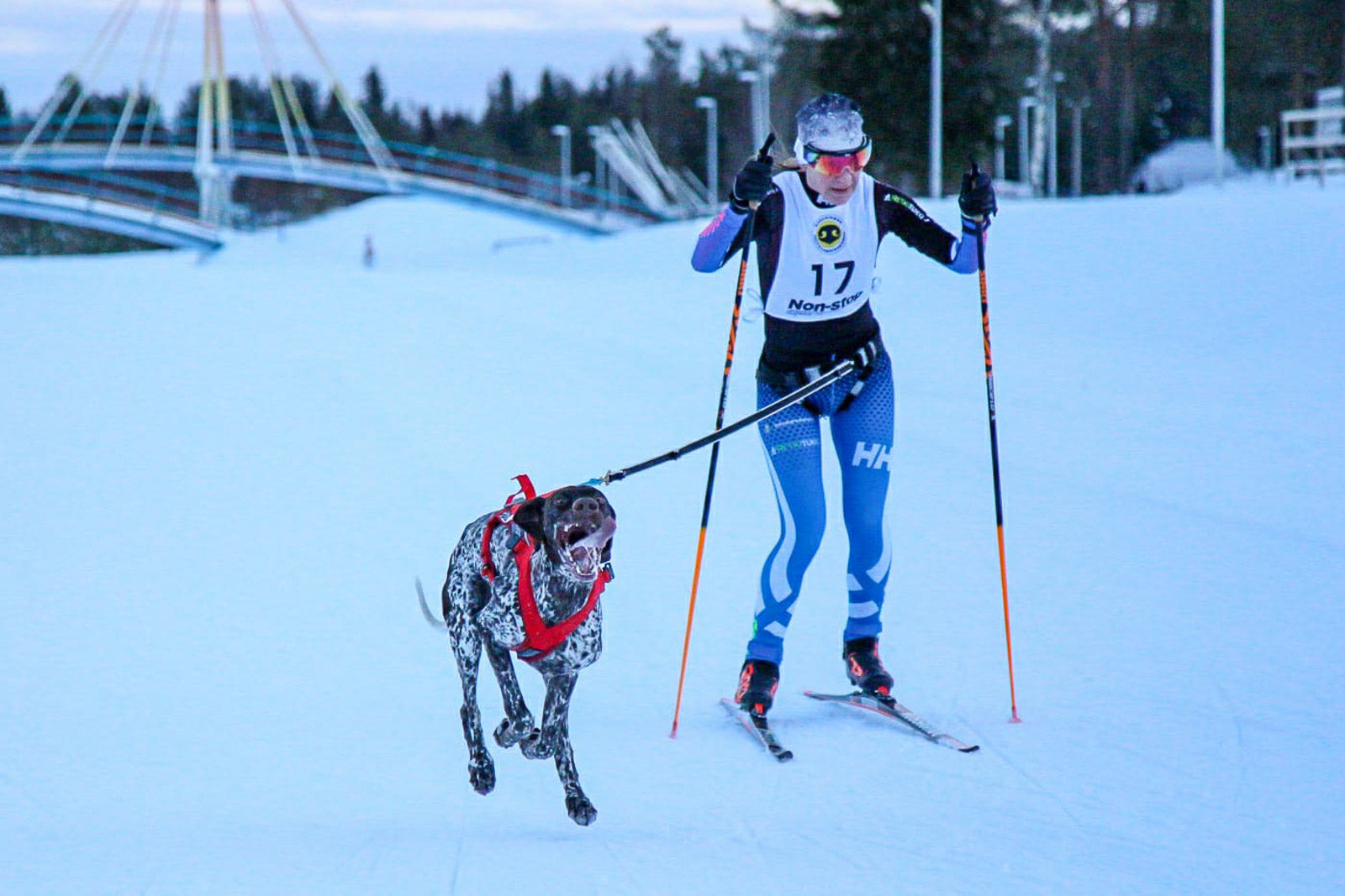 Maija Nivala Picture