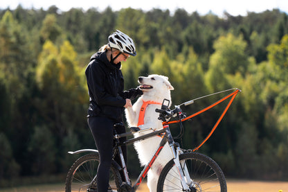 Bike antenna KLICKfix package (4)