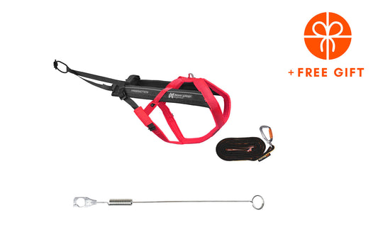 Biking kit Pink/gray