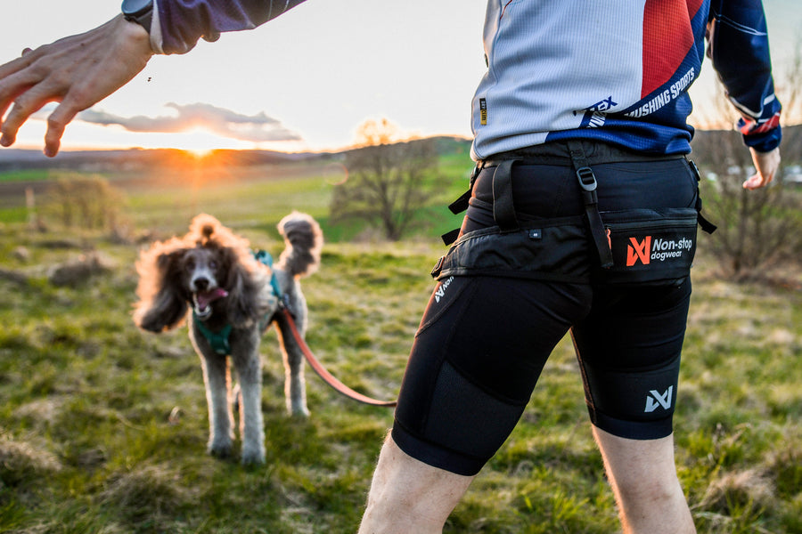 CaniX belt 2.0 (7)
