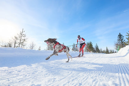 Combined harness (8)