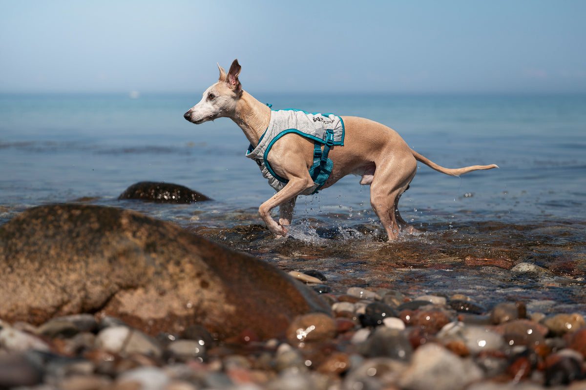 Cooling vest (3)