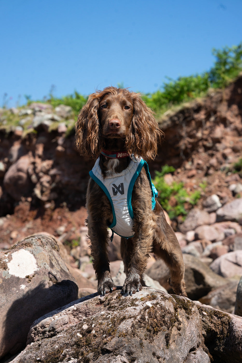 Cooling vest (6)