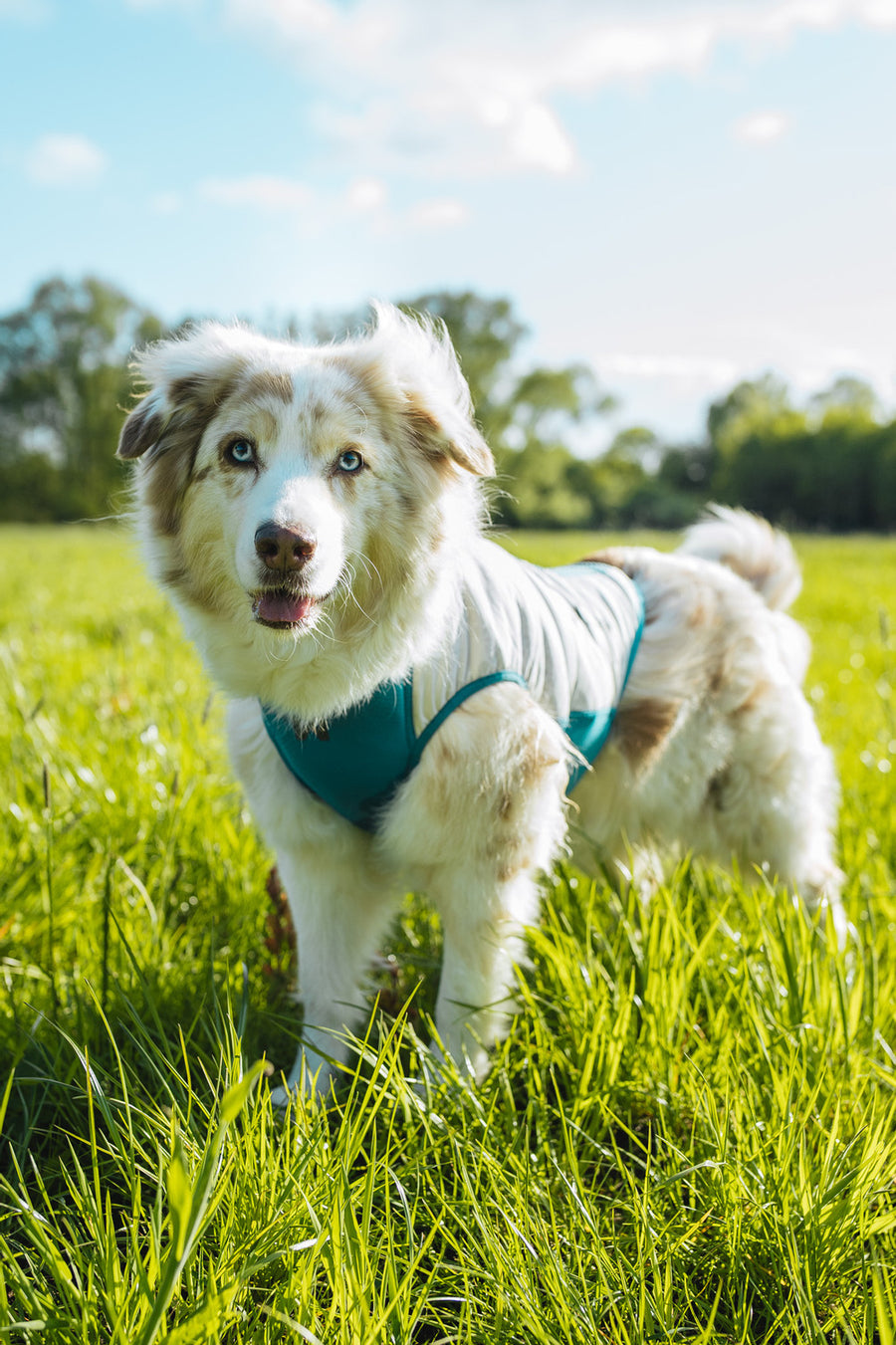 Cooling pull-on vest (1)