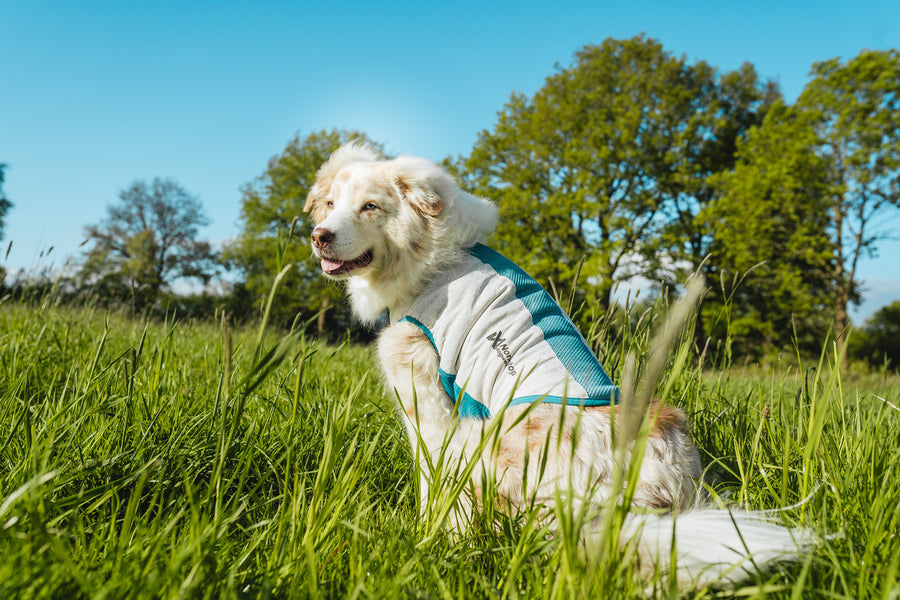Cooling pull-on vest (5)