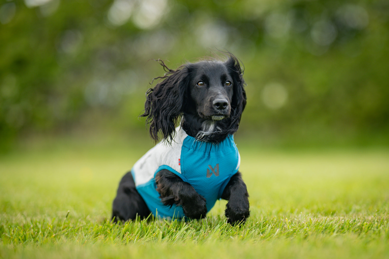 Cooling pull-on vest