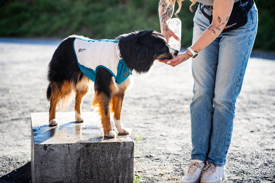 Cooling pull-on vest (3)