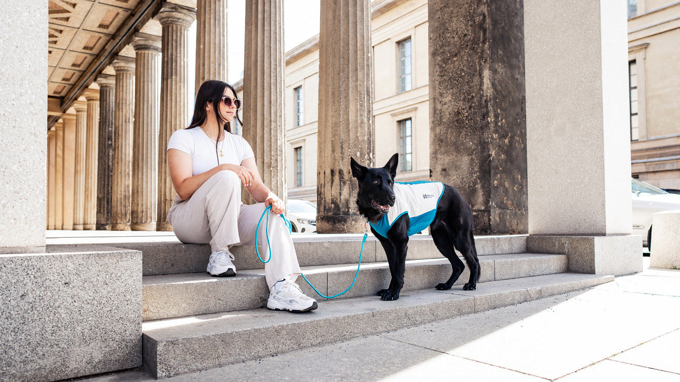 Unleash your potential | Non-stop dogwear
