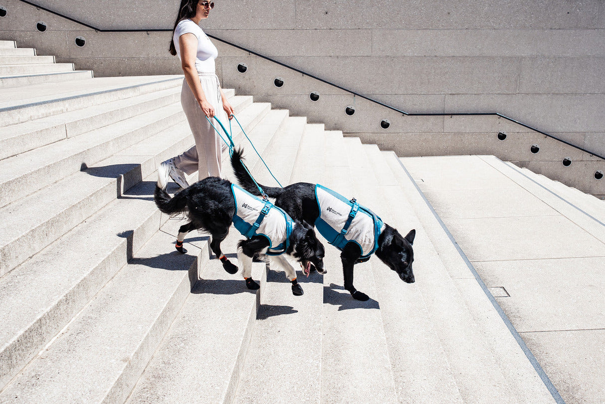 Cooling pull-on vest