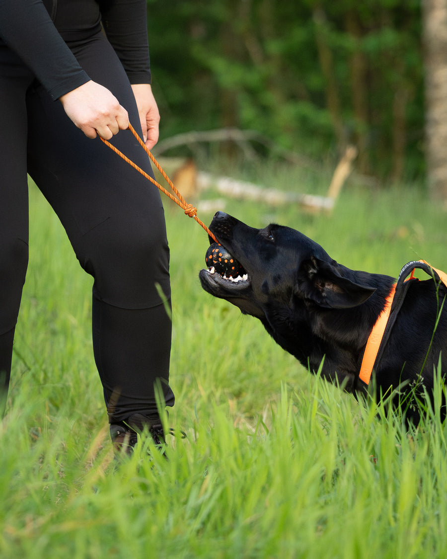 Dog ball on rope (3)