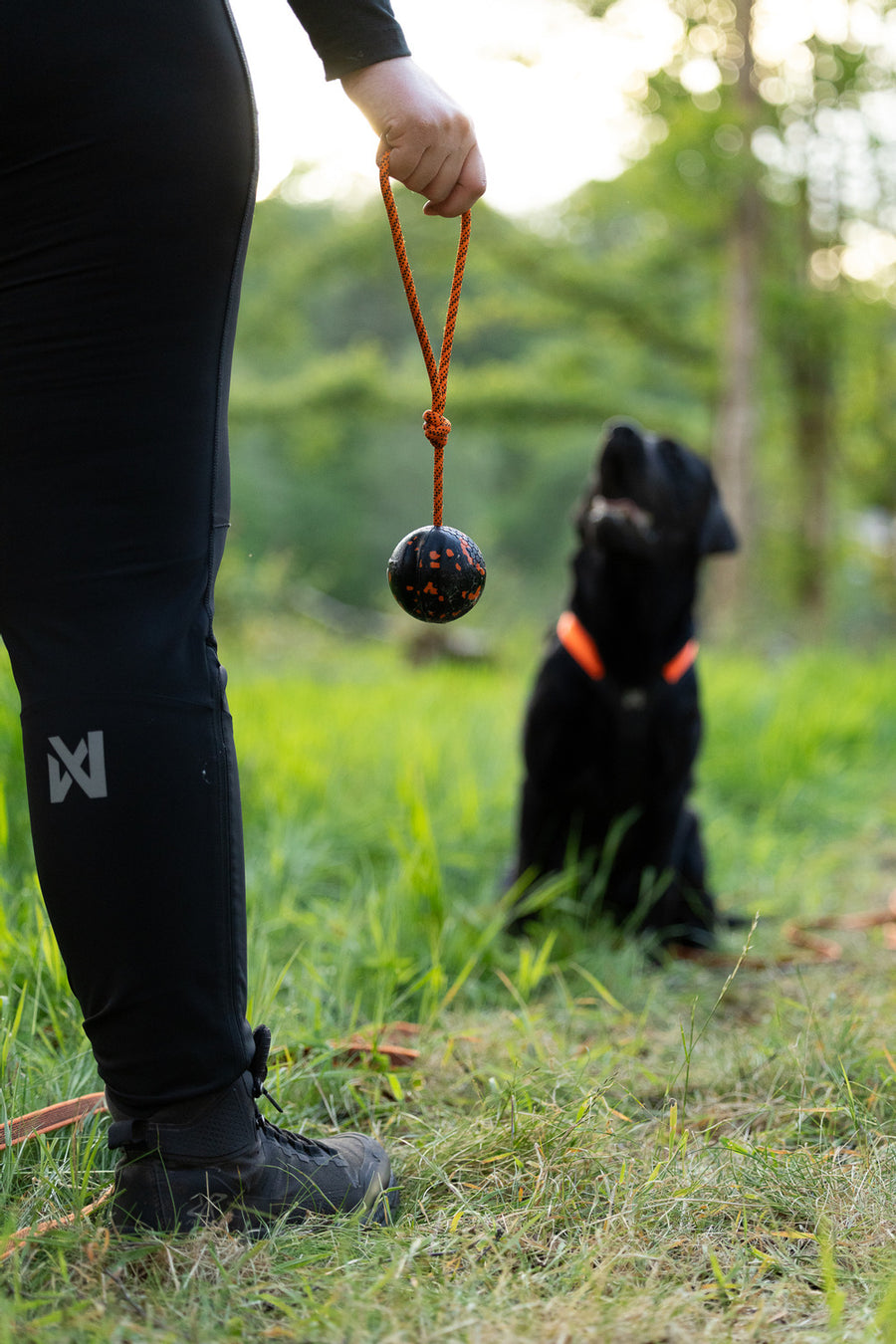 Dog ball on rope (4)