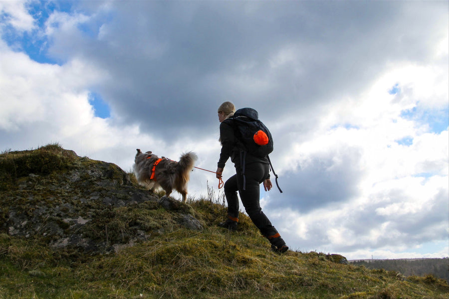 Dog rescue sling (5)