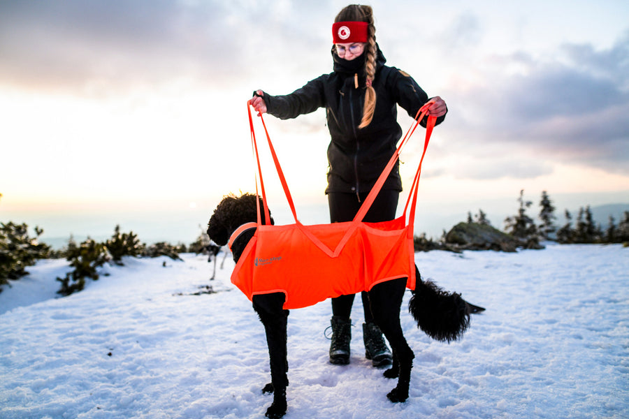 Dog rescue sling (4)