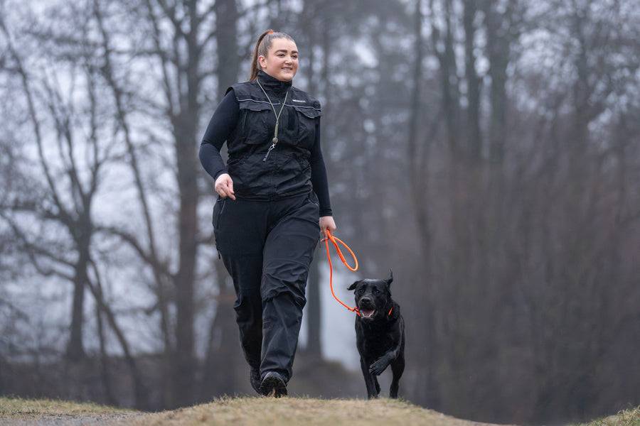 Dog training vest (3)