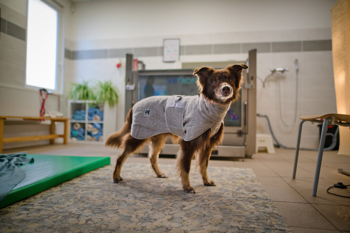 Drying coat (15)