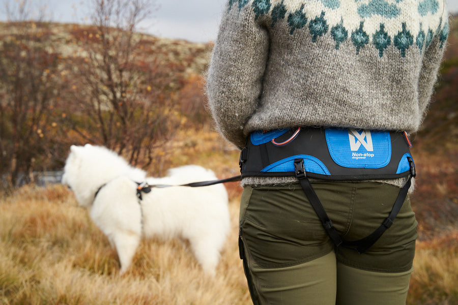 Ferd belt (1)