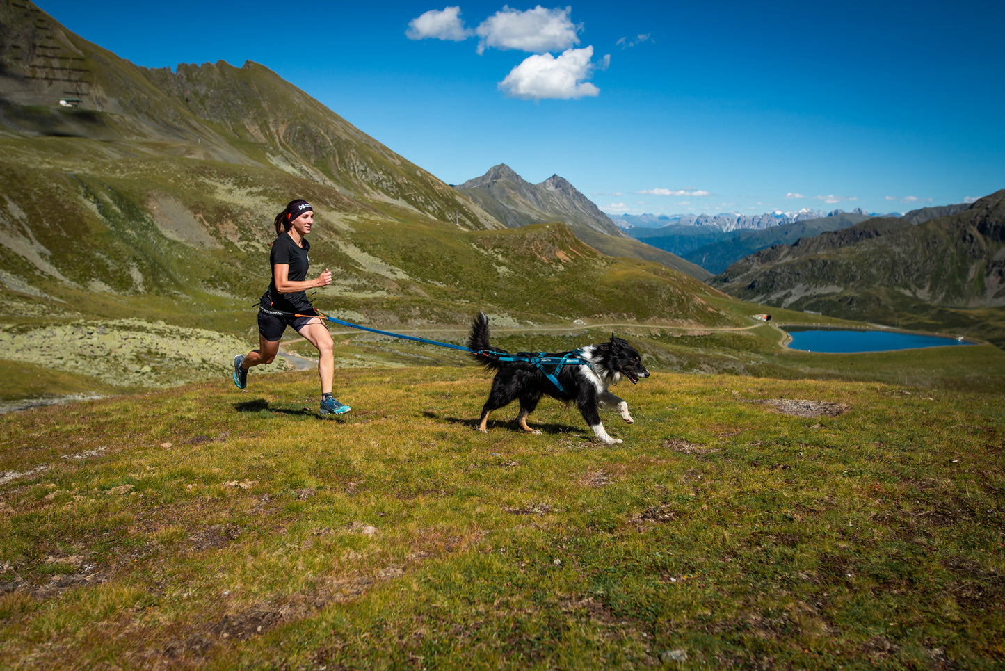 Freemotion harness 5.0 (22)