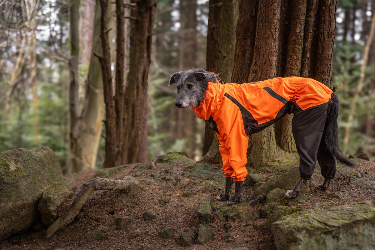 Fjord overall raincoat (13)