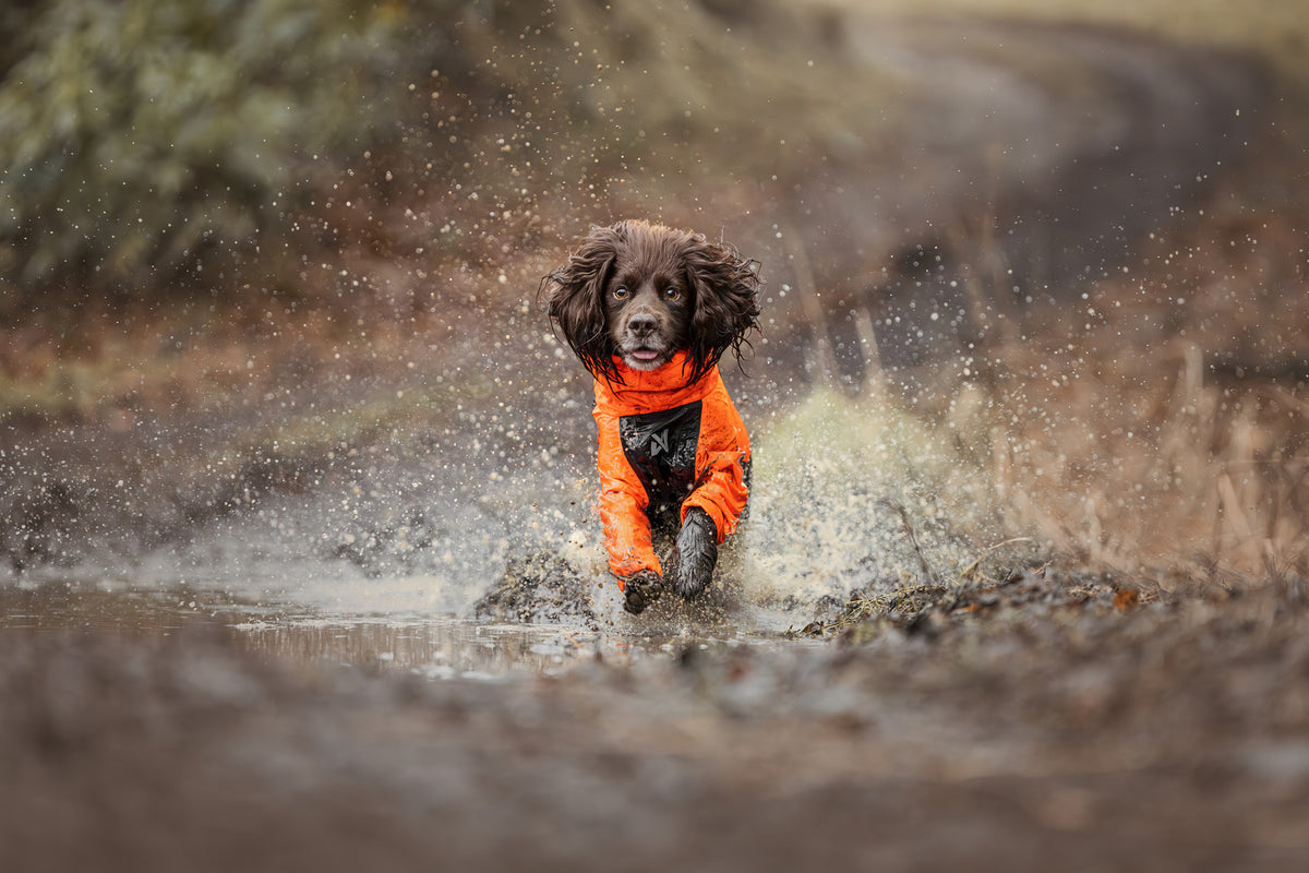 Fjord overall raincoat (14)