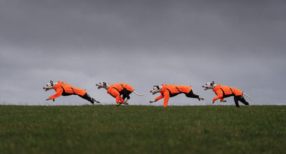 Fjord overall raincoat (1)