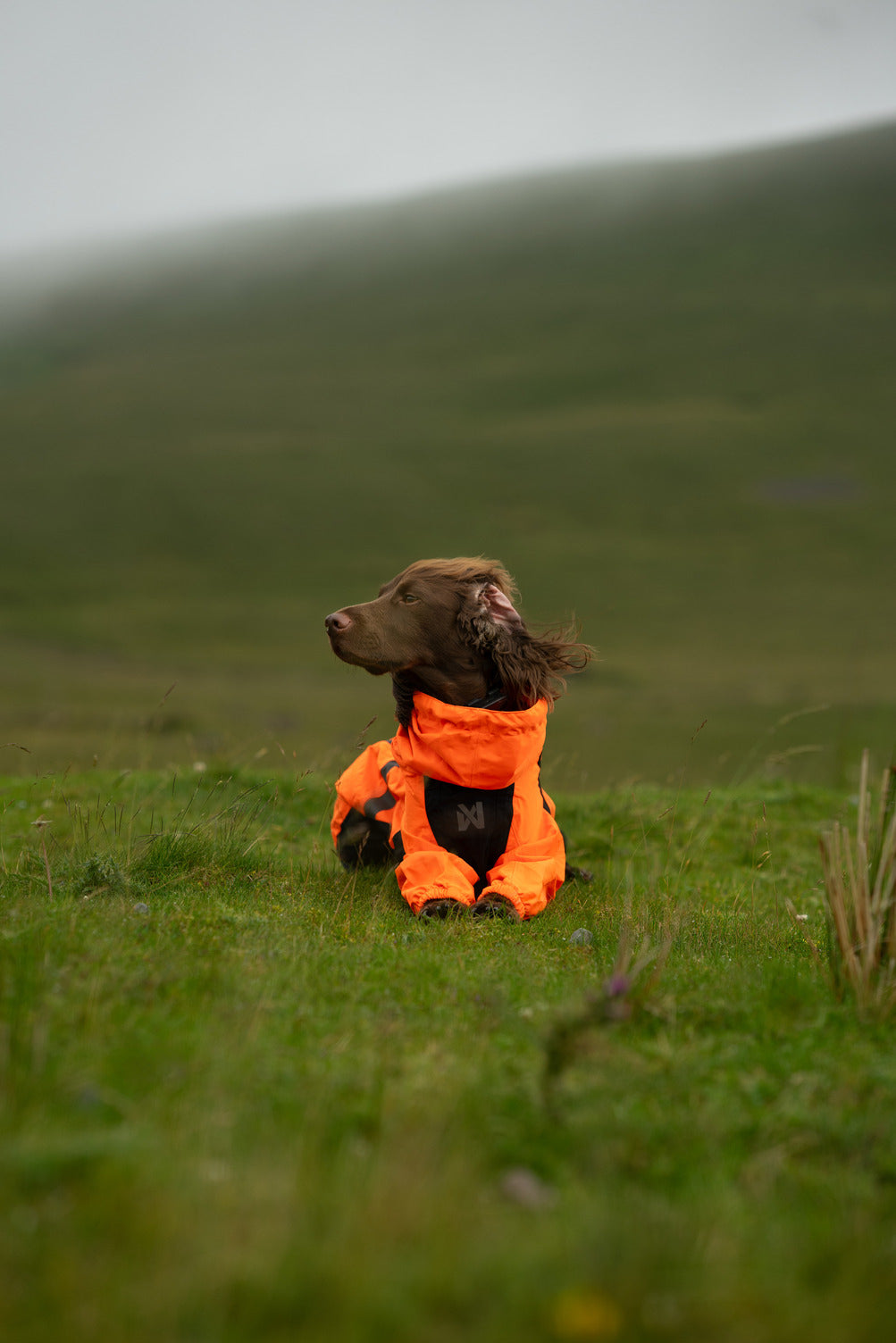 Fjord overall raincoat (16)