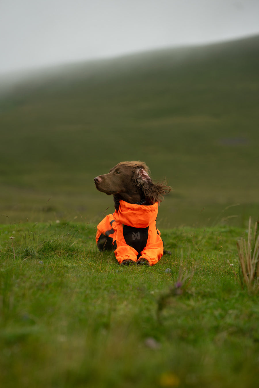 Fjord overall raincoat (16)
