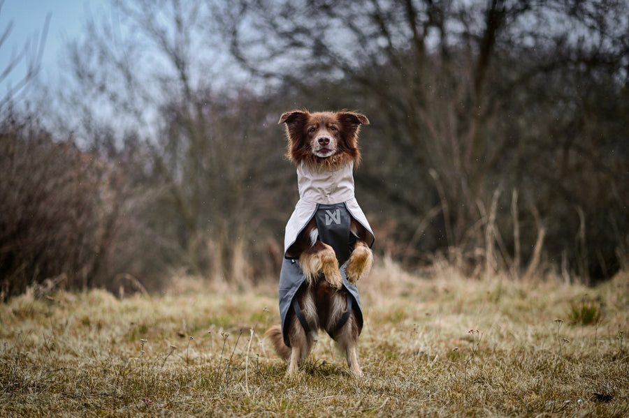Fjord raincoat 2.0 (20)