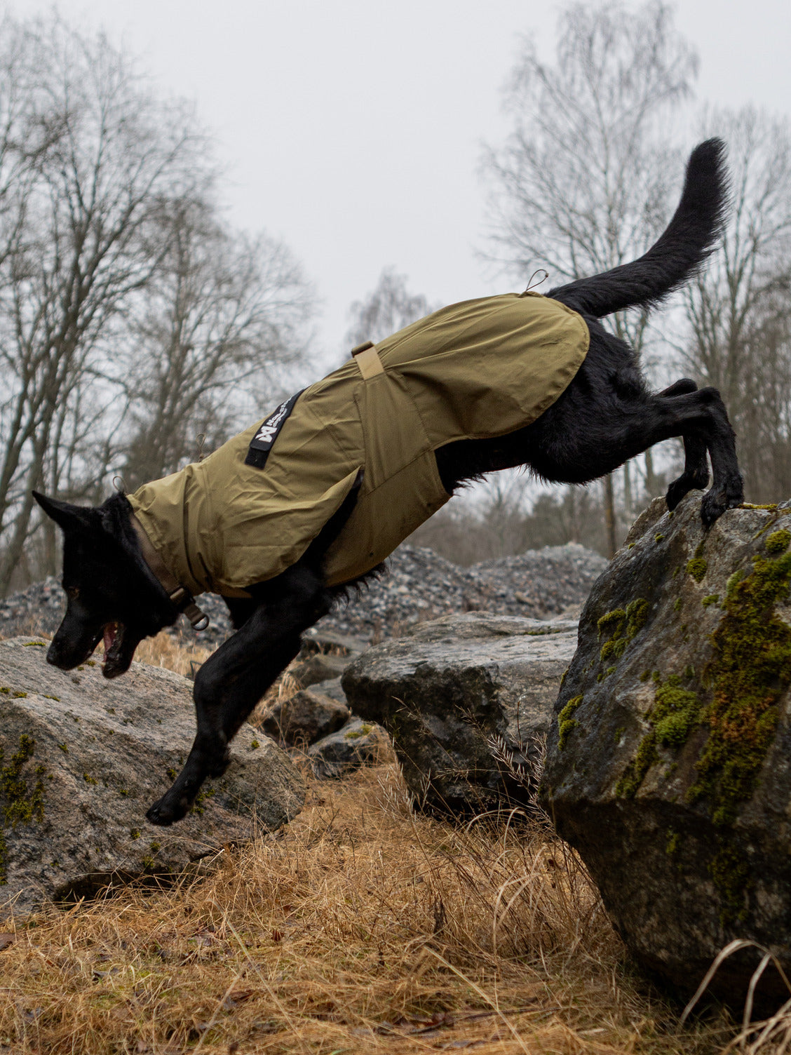 Fjord raincoat WD (3)