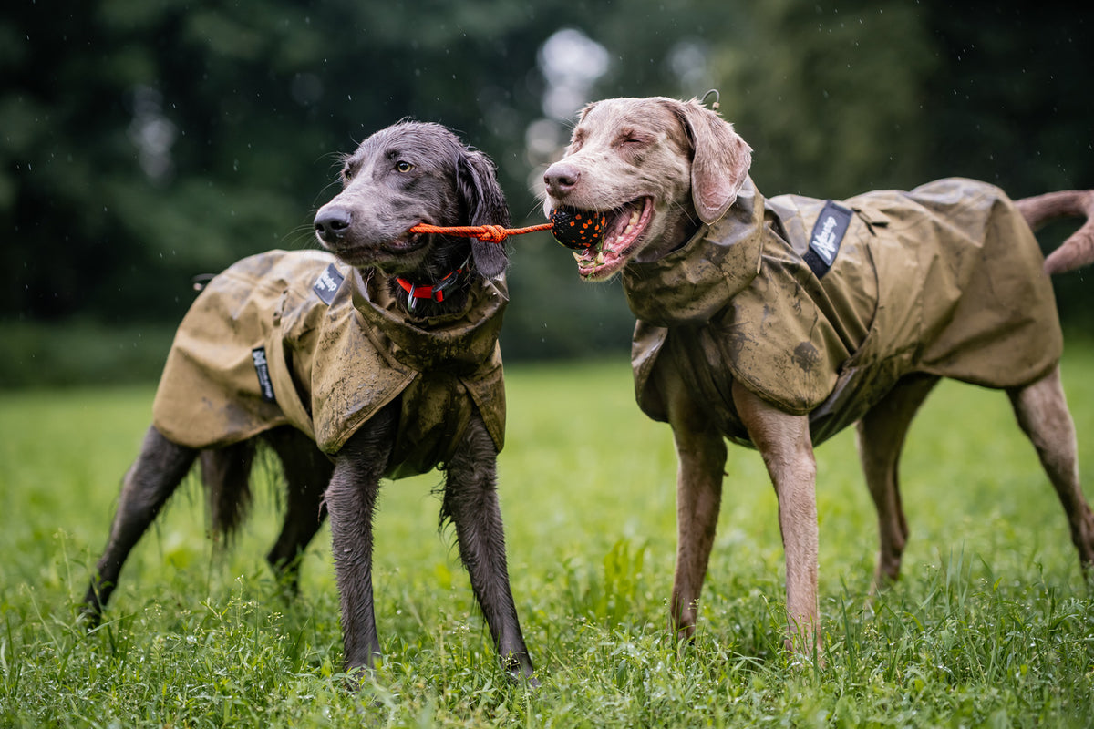 Fjord raincoat WD (1)