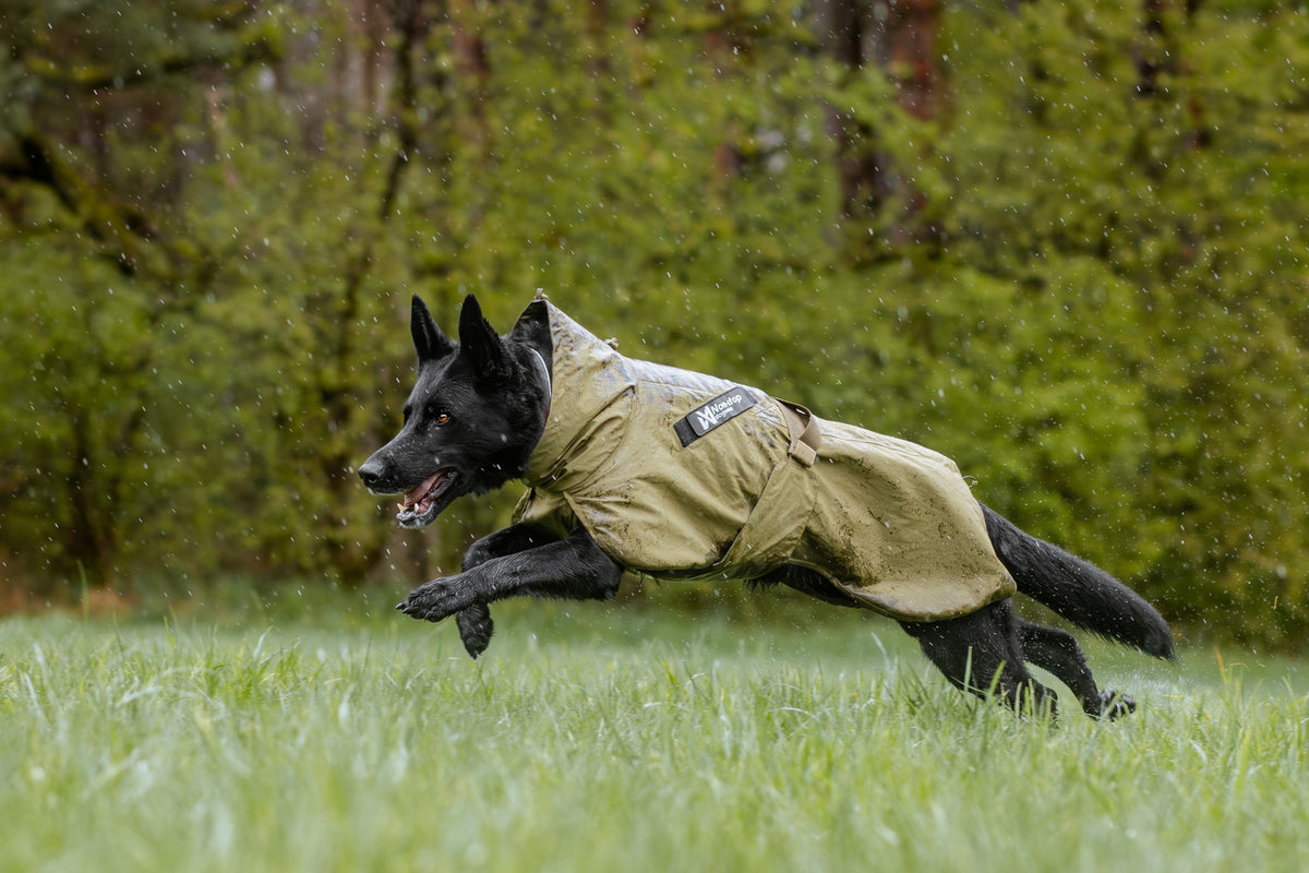 Fjord raincoat WD (7)