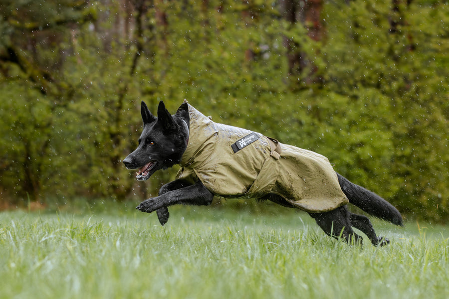 Fjord raincoat WD (7)