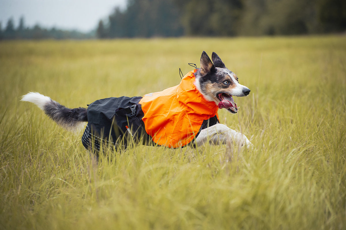 Fjord raincoat (15)