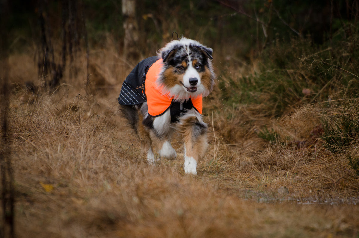 Fjord raincoat (16)