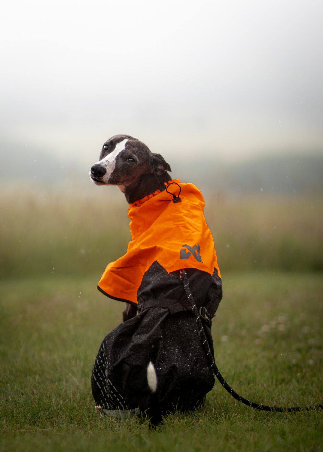 Fjord raincoat (17)